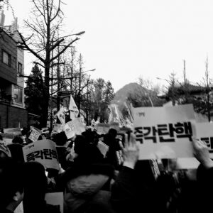 청와대 가는길